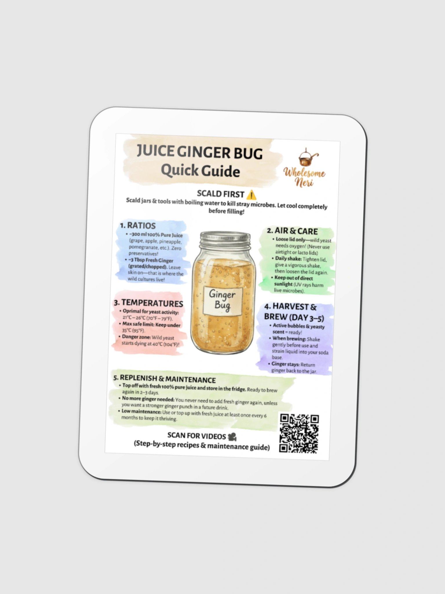 Juice Ginger Bug Quick Guide Die-Cut Magnet product image (3)