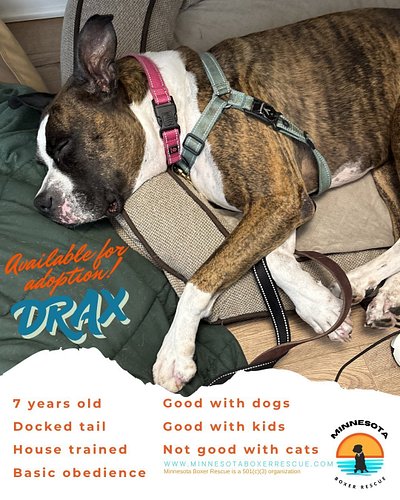 Tell us you’re having a typical Monday without telling us you’re having a typical Monday... we'll start by showing off DRAX, ...