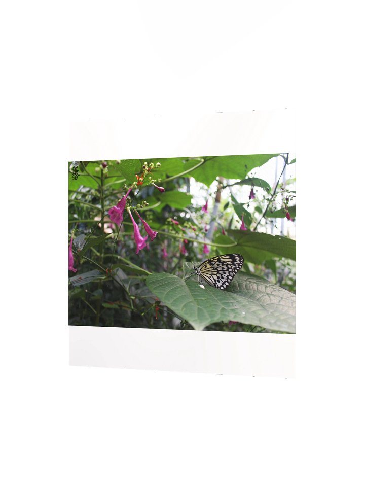 Yellow Butterfly on a Leaf product image (5)