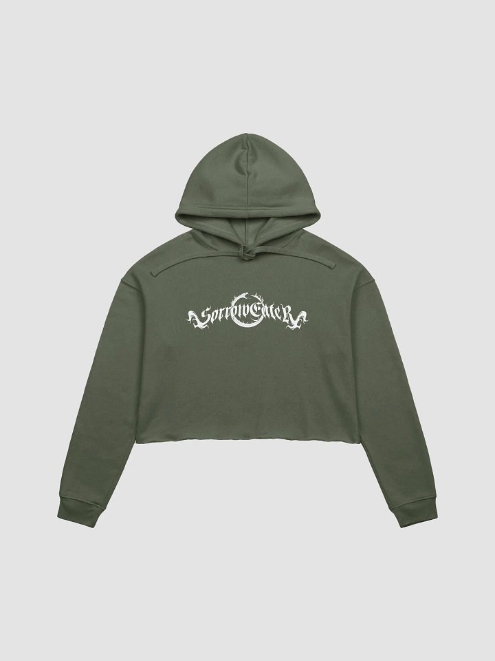 Crop Top Hoodie product image (1)