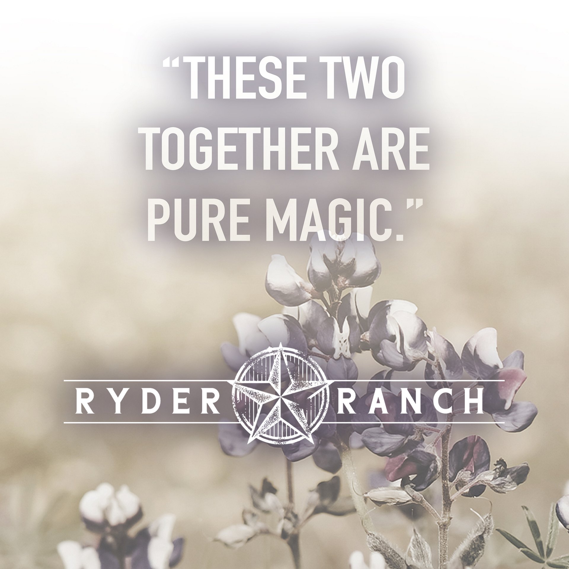 Unraveling Mack Ryder product image (4)