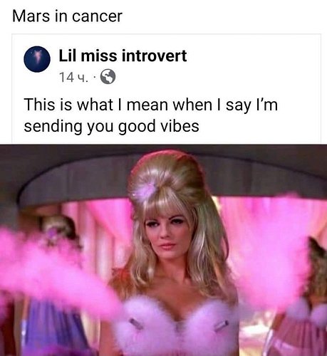 😂😂😂