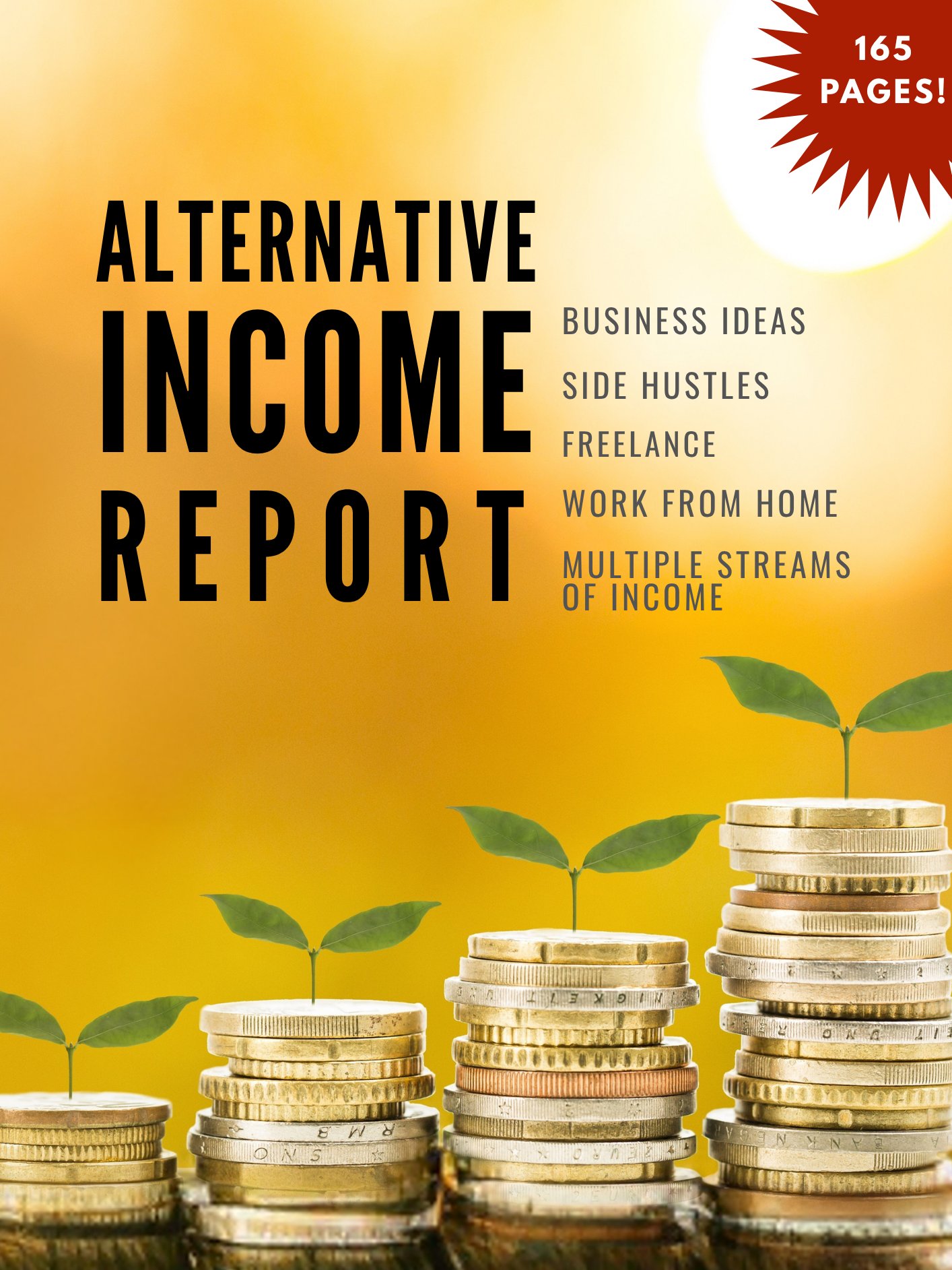 Alternative Income Report - 165 pages of inspiration for flexible income! product image (1)