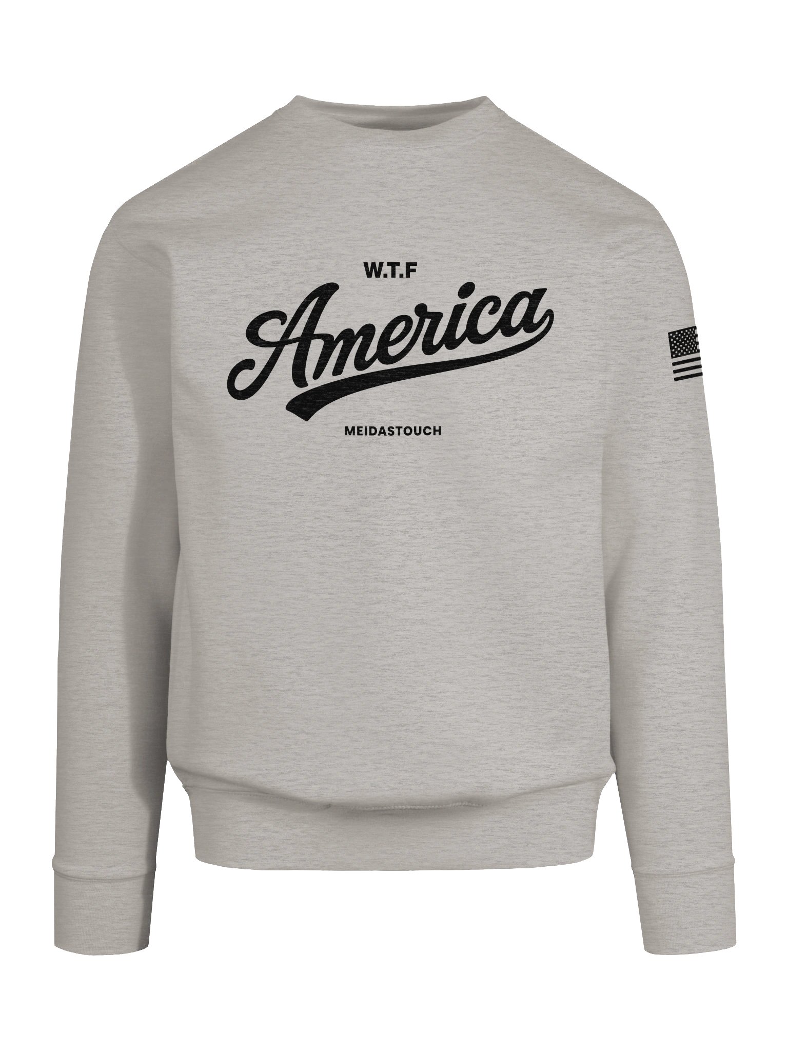 WTF AMERICA CREW SWEATSHIRT product image (8)