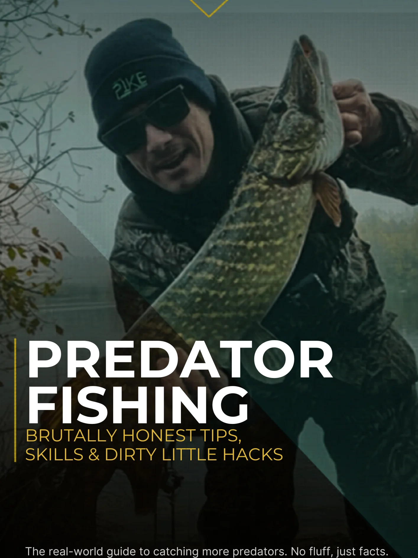 Predator Fishing: Brutally Honest Tips, Daily Skills & Dirty Little Hacks product image (1)