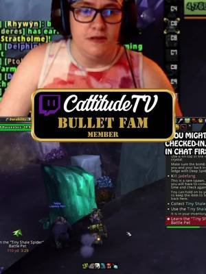 @CattitudeTV dove into battle like a true hero ⚔️🔥 Chaos everywhere, victory secured… & a tiny shale spider earned in the end. 🕷️ Now that’s an epic World of Warcraft moment. #Warcraft #EpicMoments #bulletfam #MVB