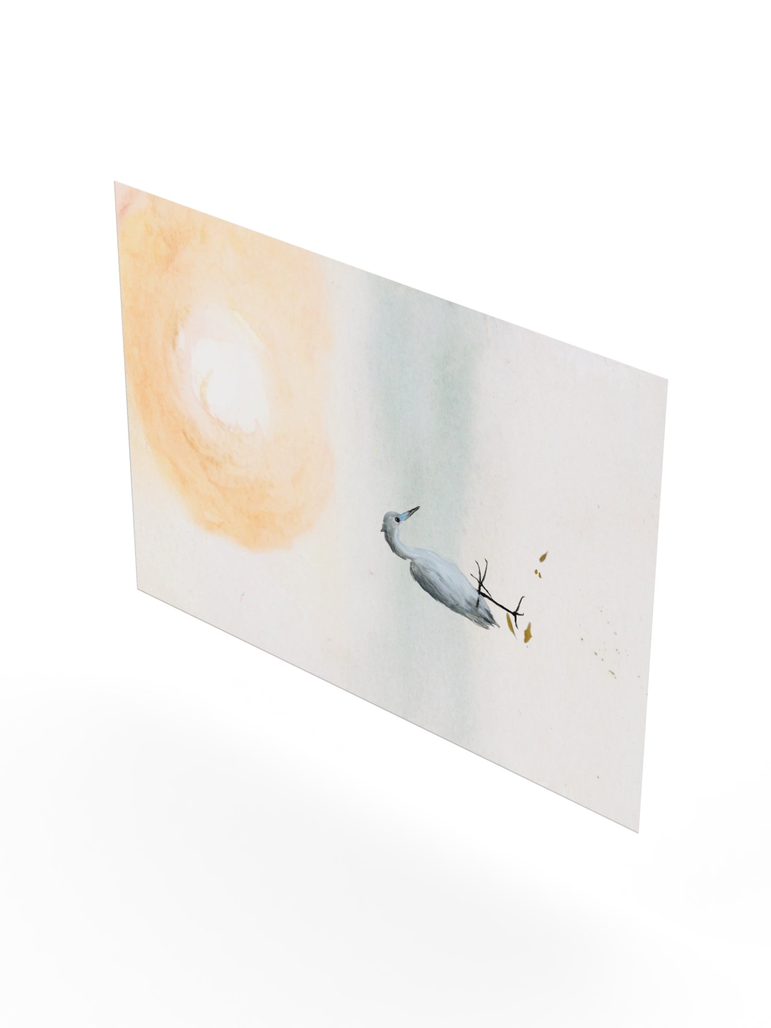 Baby Blue Heron - Fine Art Print product image (75)