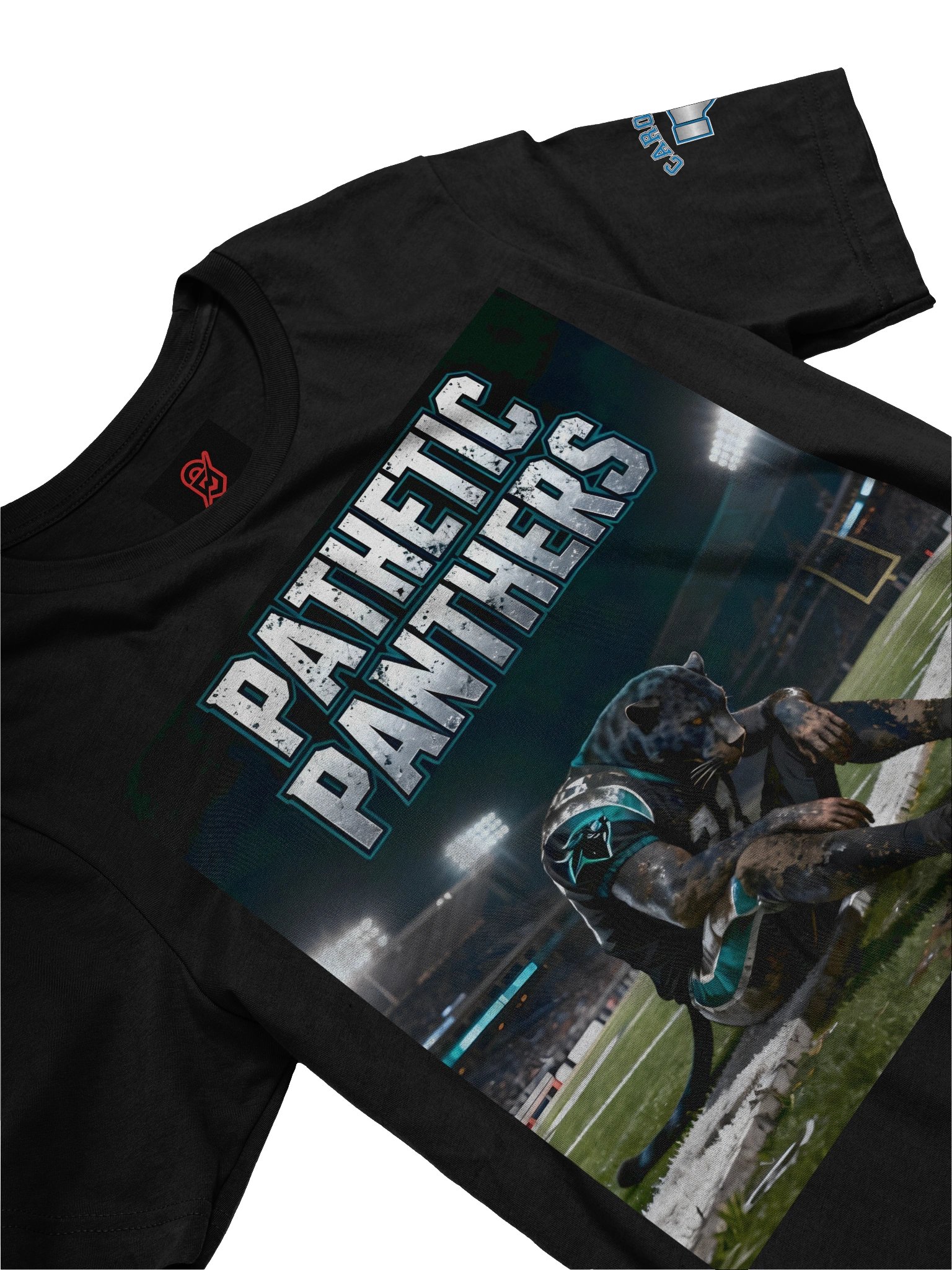 Pathetic Panthers | Carolina | Football | Rival Locker product image (4)