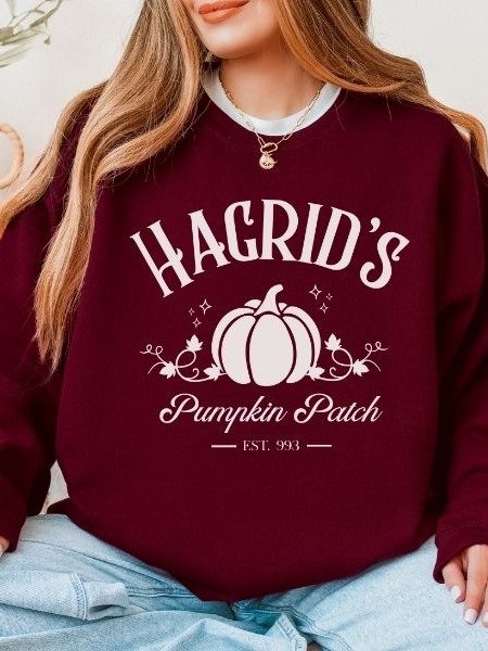 Magical Pumpkin Patch Minimalist Cozy Sweatshirt for Halloween product image (2)