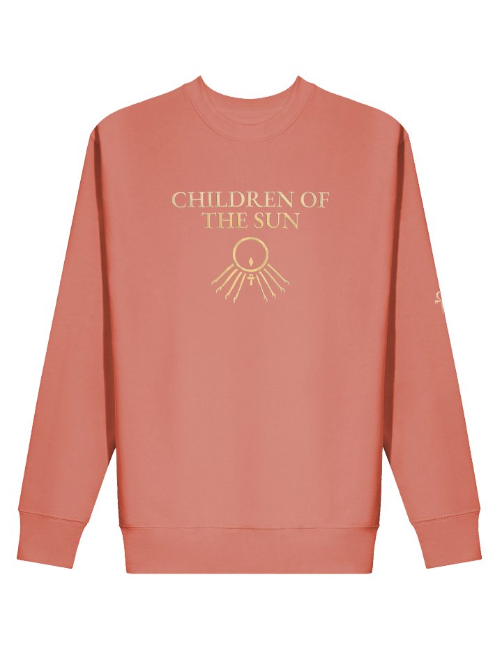Star King Sweat Shirt product image (12)