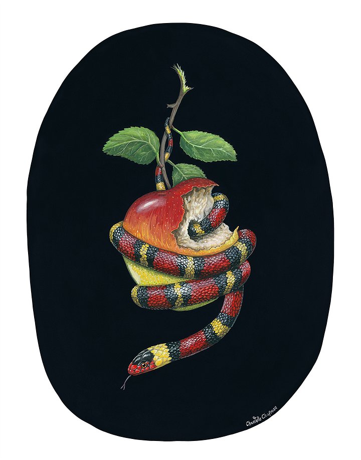 They'll Tell You It's Dangerous (Scarlet Kingsnake) - Art Print product image (1)