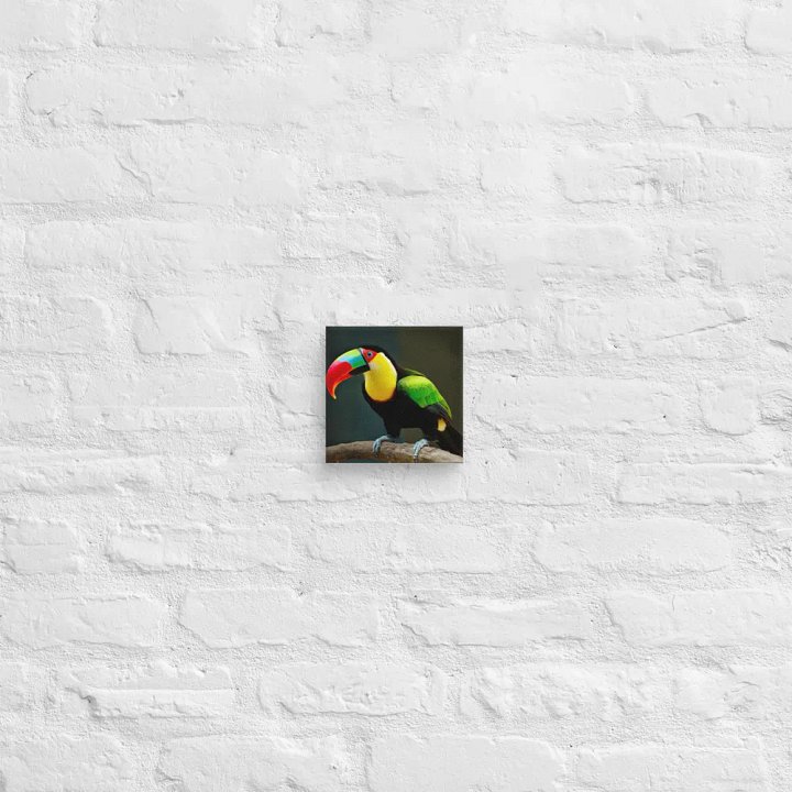Toucan Tropic Canvas product image (27)