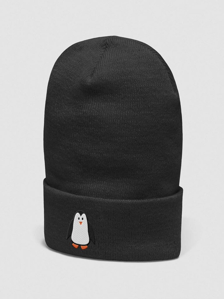 TLC Beanie product image (5)