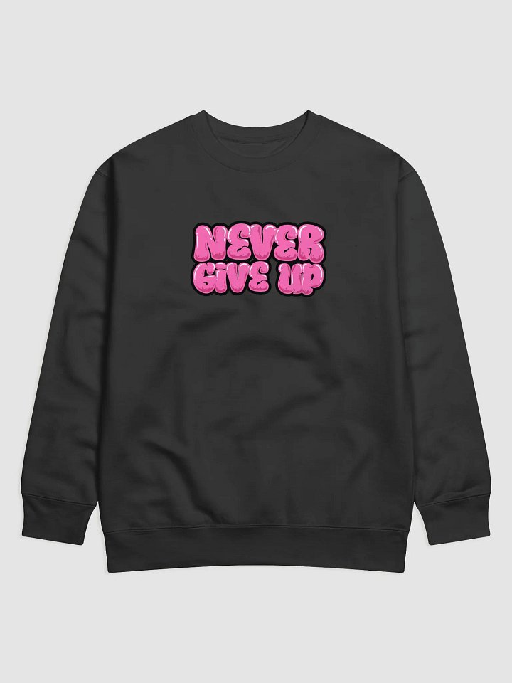 Never Give Up Sweater💙 product image (1)