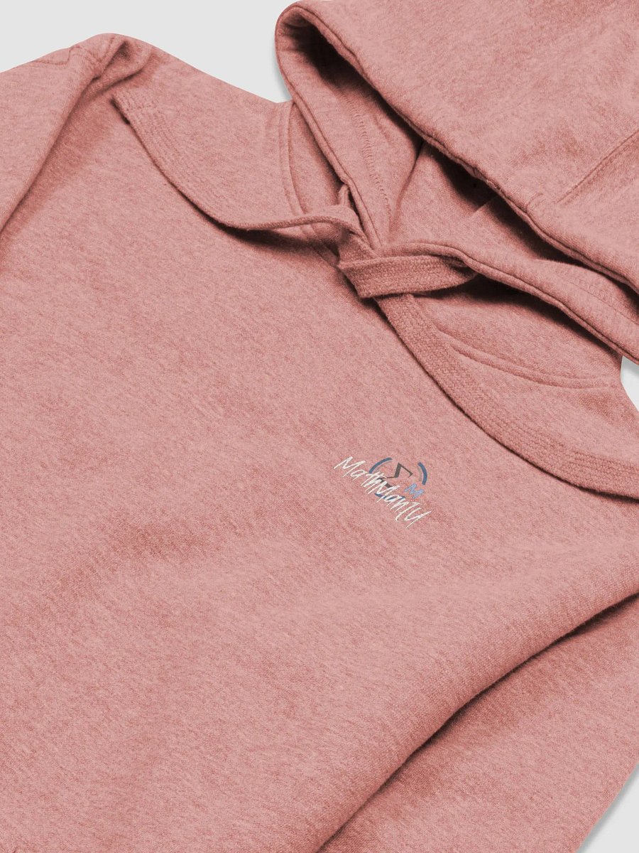 Streetwise Hoodie - Pandamonium product image (3)