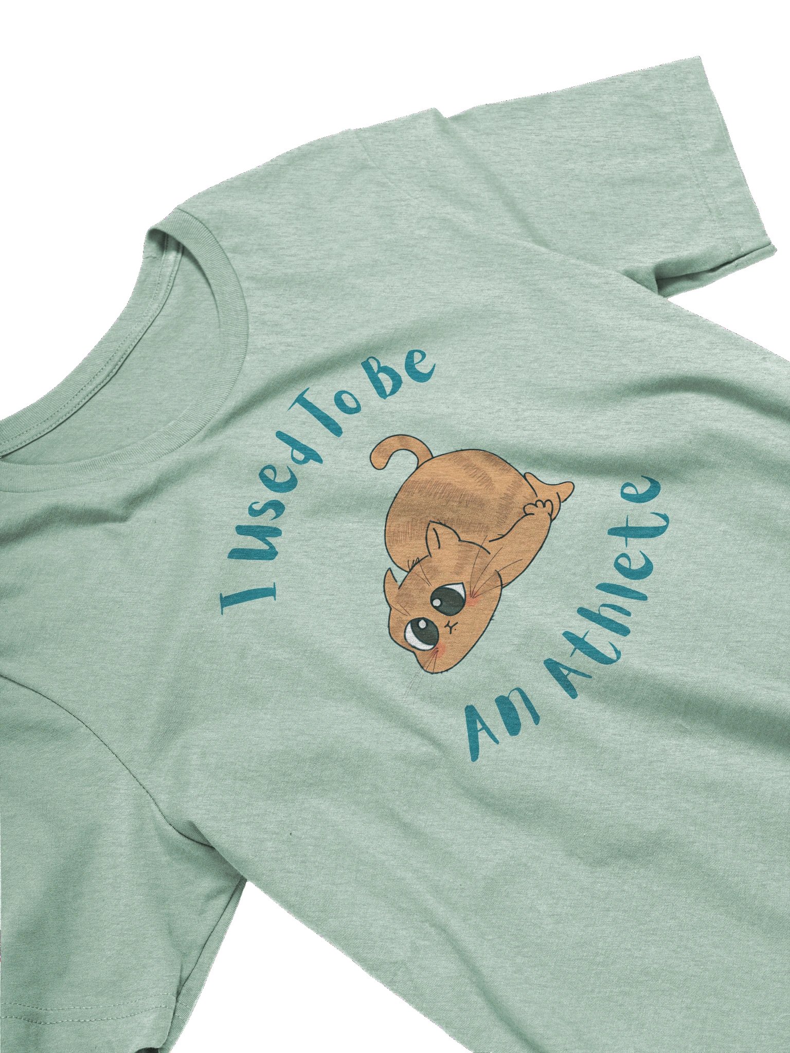 Chubby Cat Confession Tee product image (3)