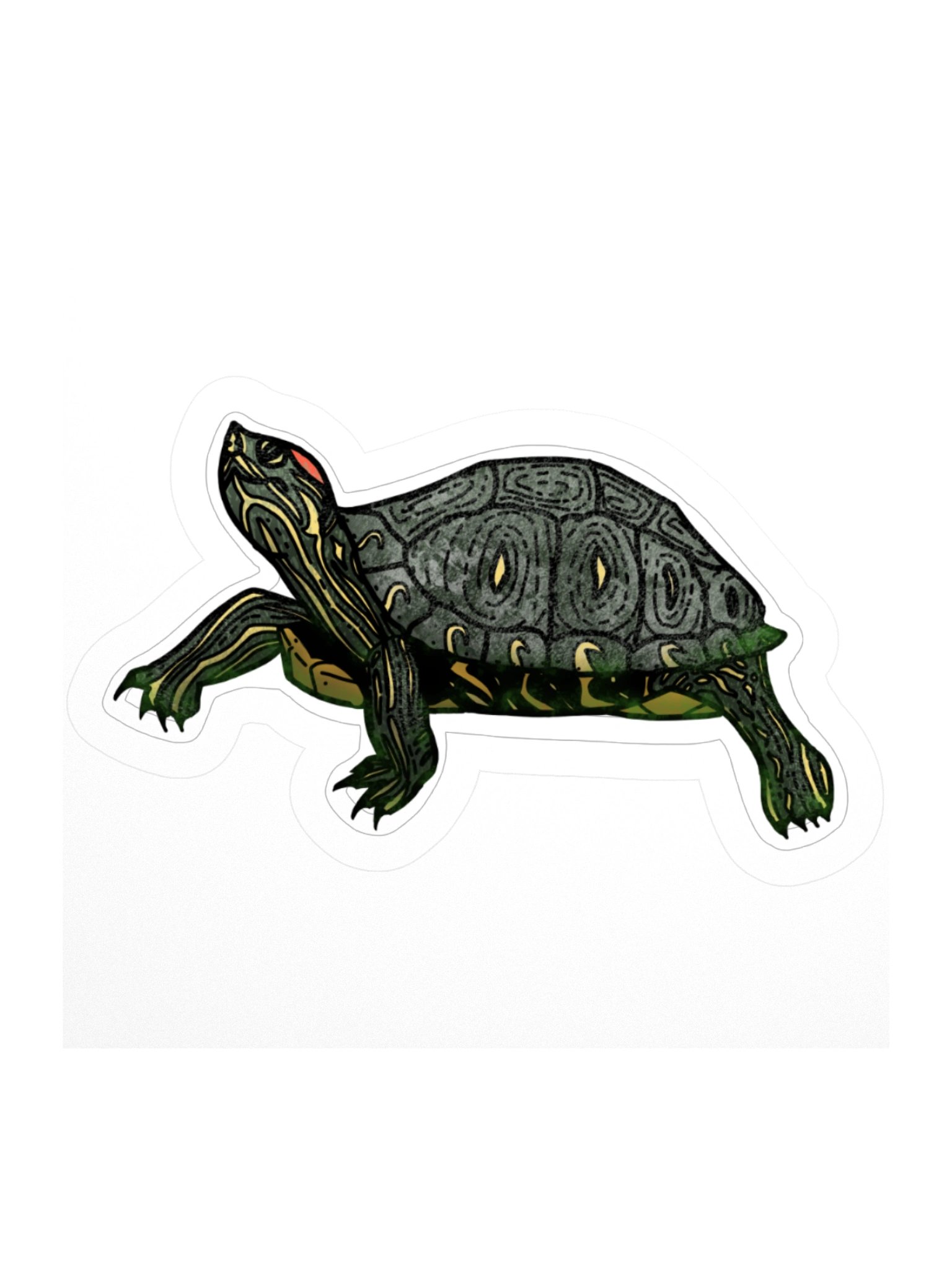 Twenty Turtle Six - May product image (1)