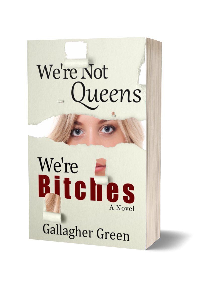 We're Not Queens, We're Bitches: A Novel product image (1)