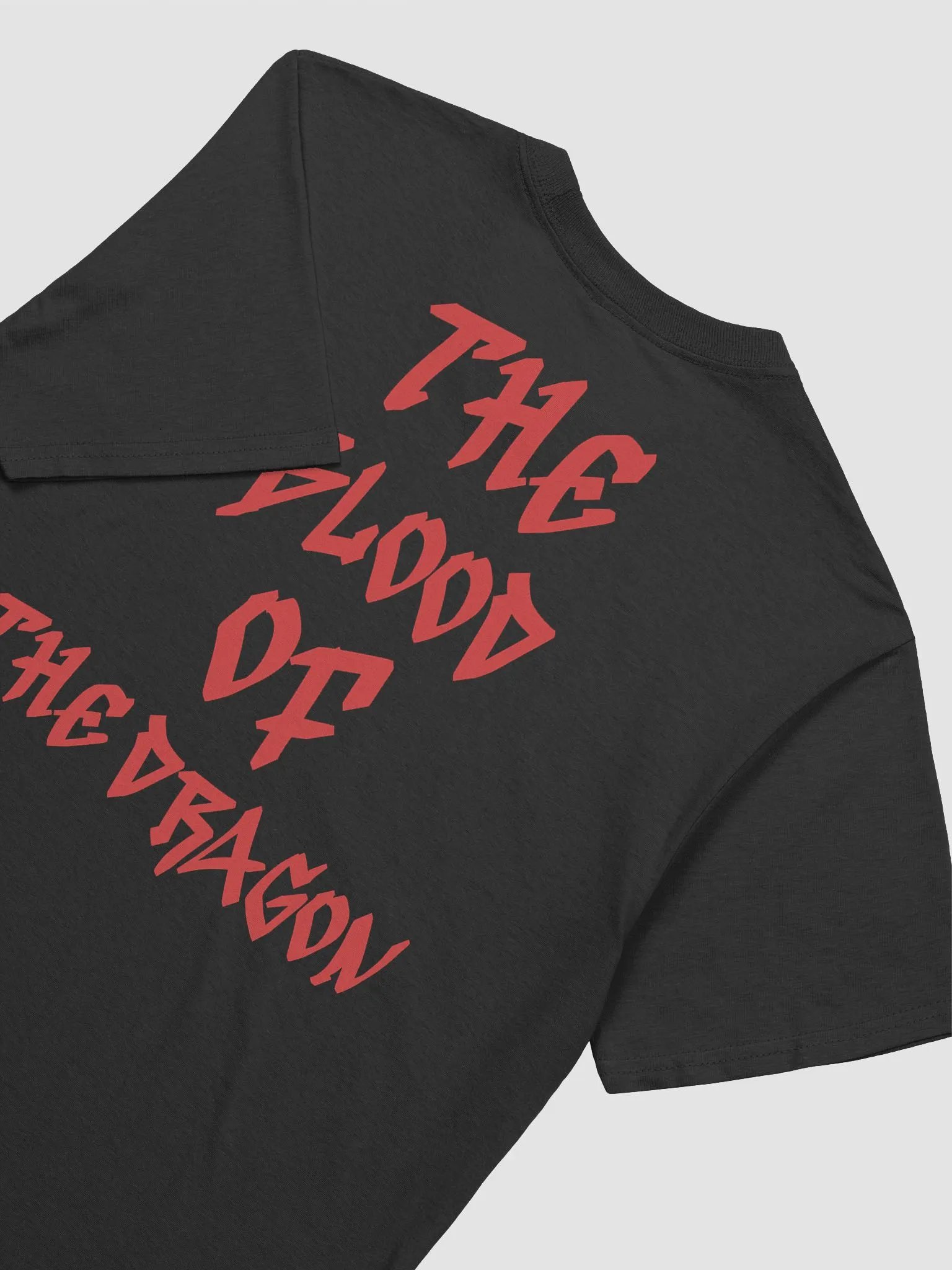 SHROOMxDRAGON TEE product image (14)
