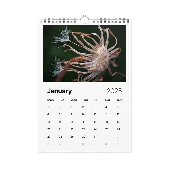 Ephemeral Dandelions 2025 Wall Calendar product image (2)