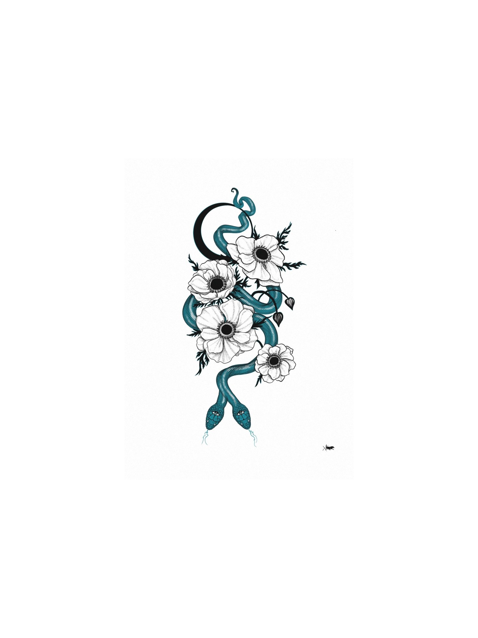 Anemone product image (2)