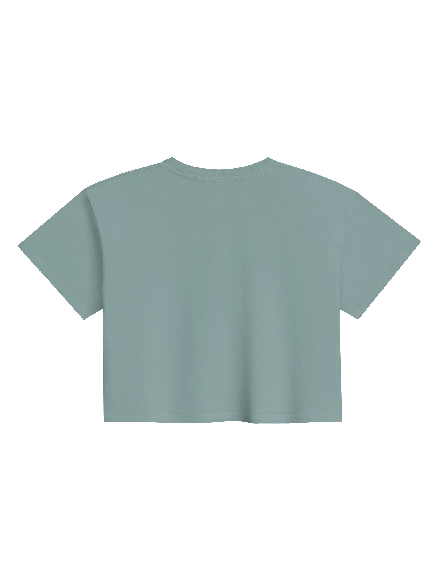 These Thighs Crop Top product image (2)