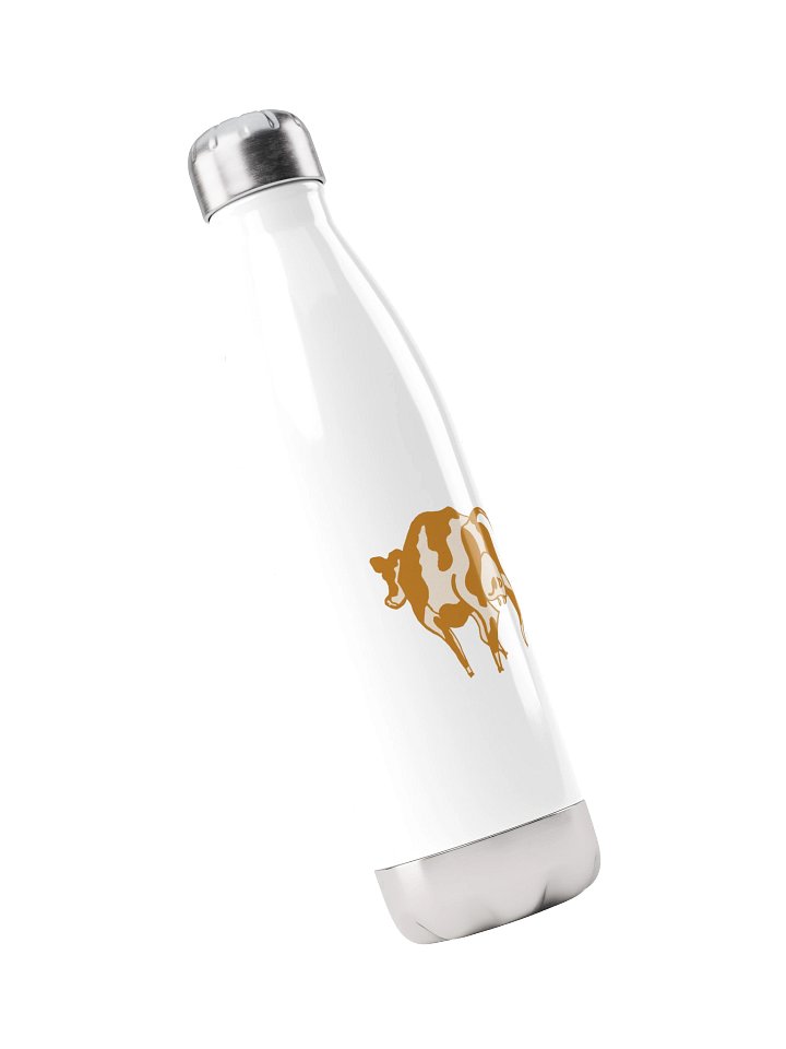 Carqamel - Stainless Steel Watter Bottle product image (2)