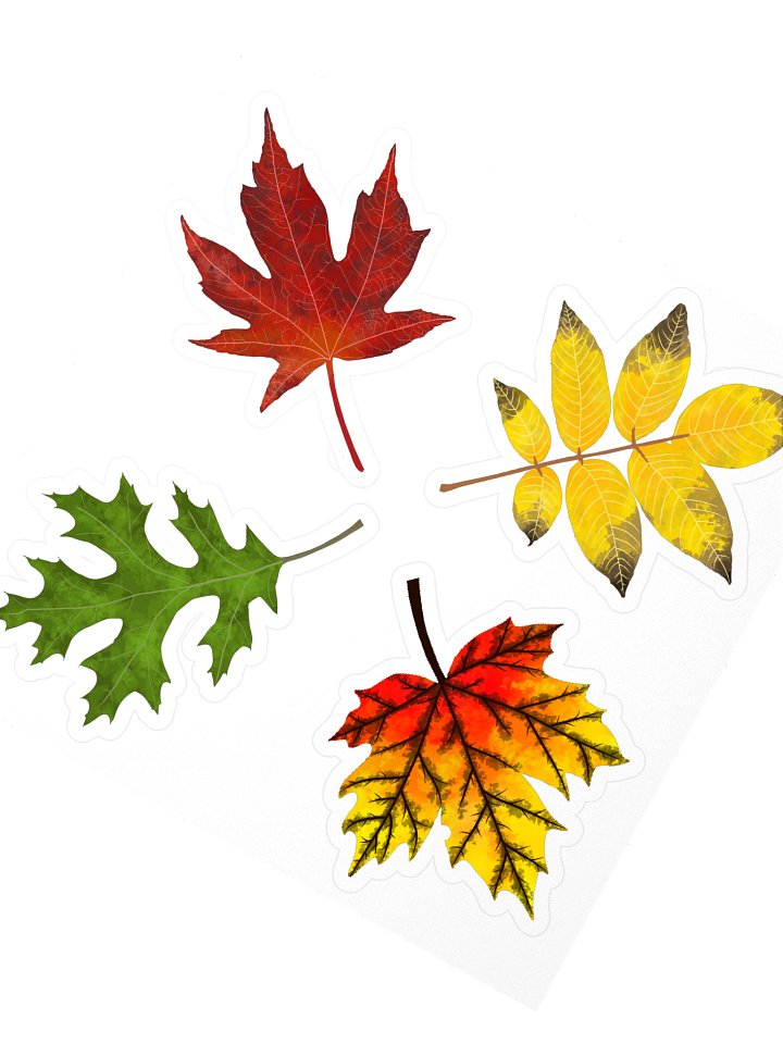 Fall Color Leaf Stickers product image (2)