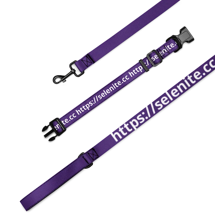 Selenite Leash and Collar product image (2)