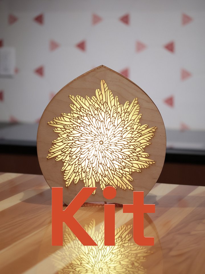 Arrowhead Case Glow (Kit) product image (1)