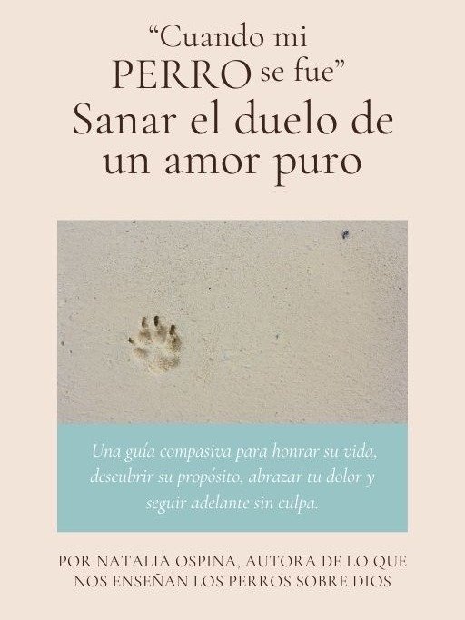 Pack Camino Completo: Del Duelo a la Sanidad y Proposito product image (2)