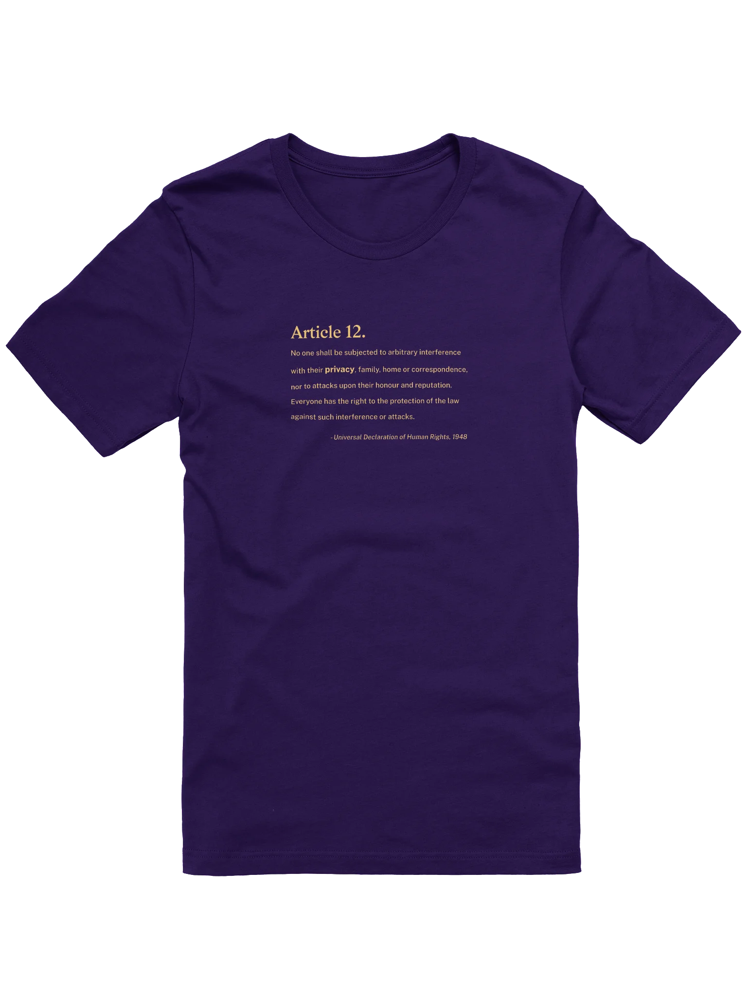 Article 12 - Supersoft T-Shirt (Bella+Canvas) product image (1)