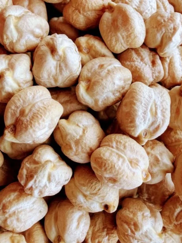 Hero ingredient profile, the chickpea (free digital download) product image (3)