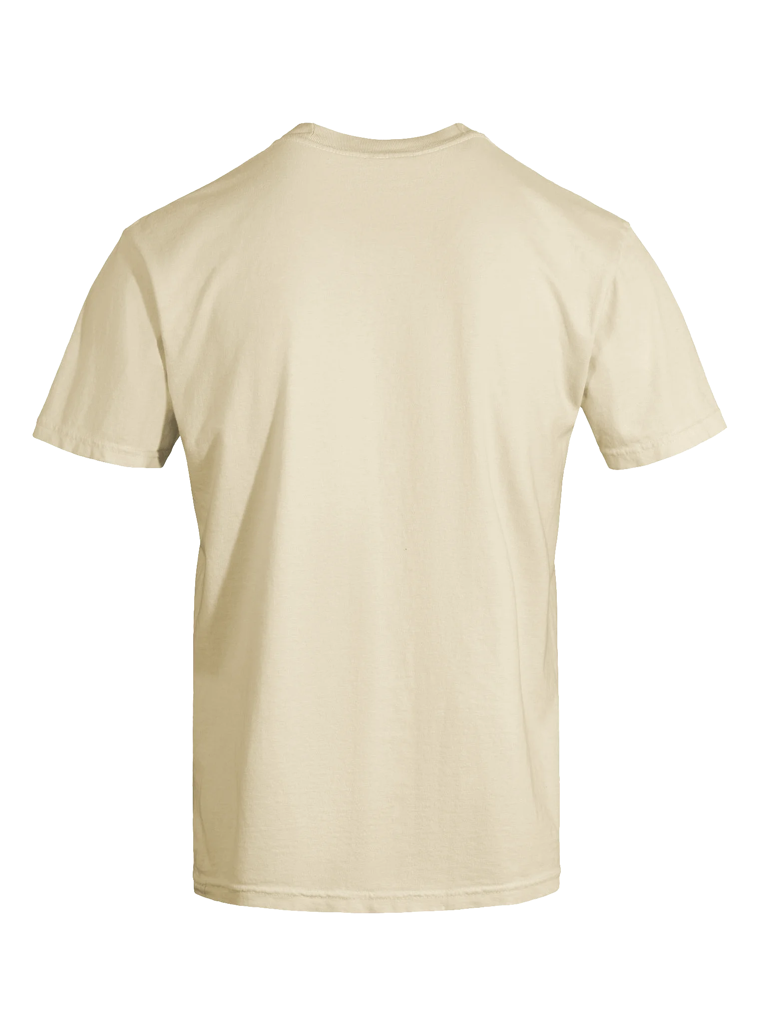 Ram Dass Book Tee (Comfort Colors) product image (9)