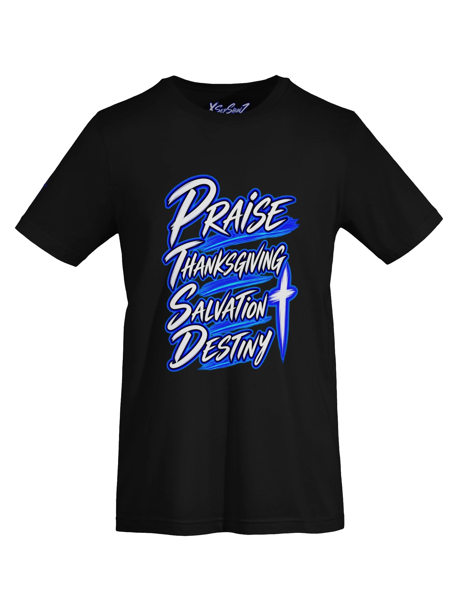 PTSD — Praise • Thanksgiving • Salvation • Destiny Tee product image (5)