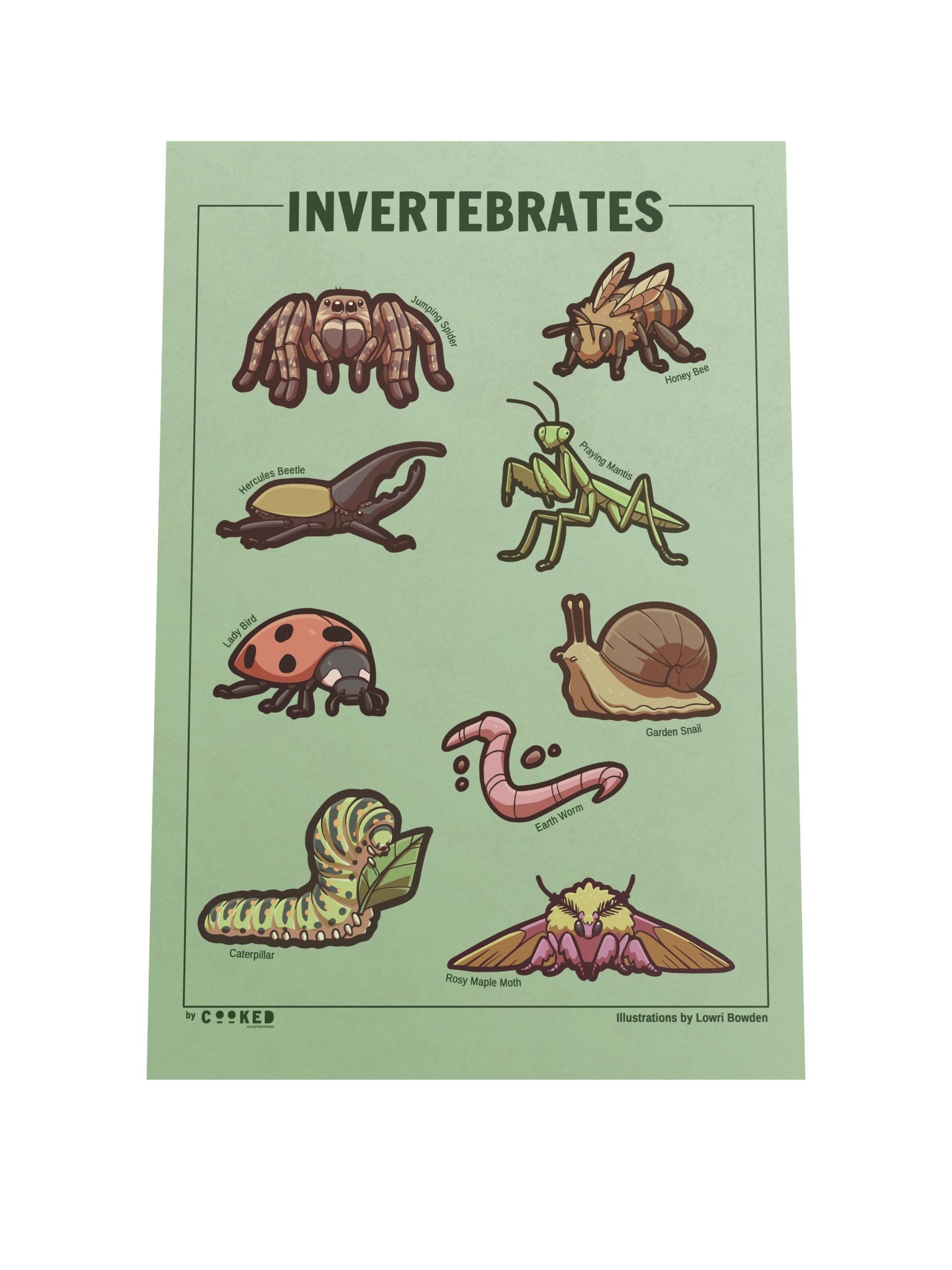 Adorable Invertebrates - 9 Invertebrate Illustrations - Original Illustrated Poster product image (3)