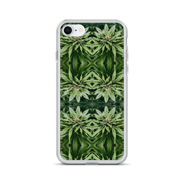 Phyllotaxis Sacra product image (1)