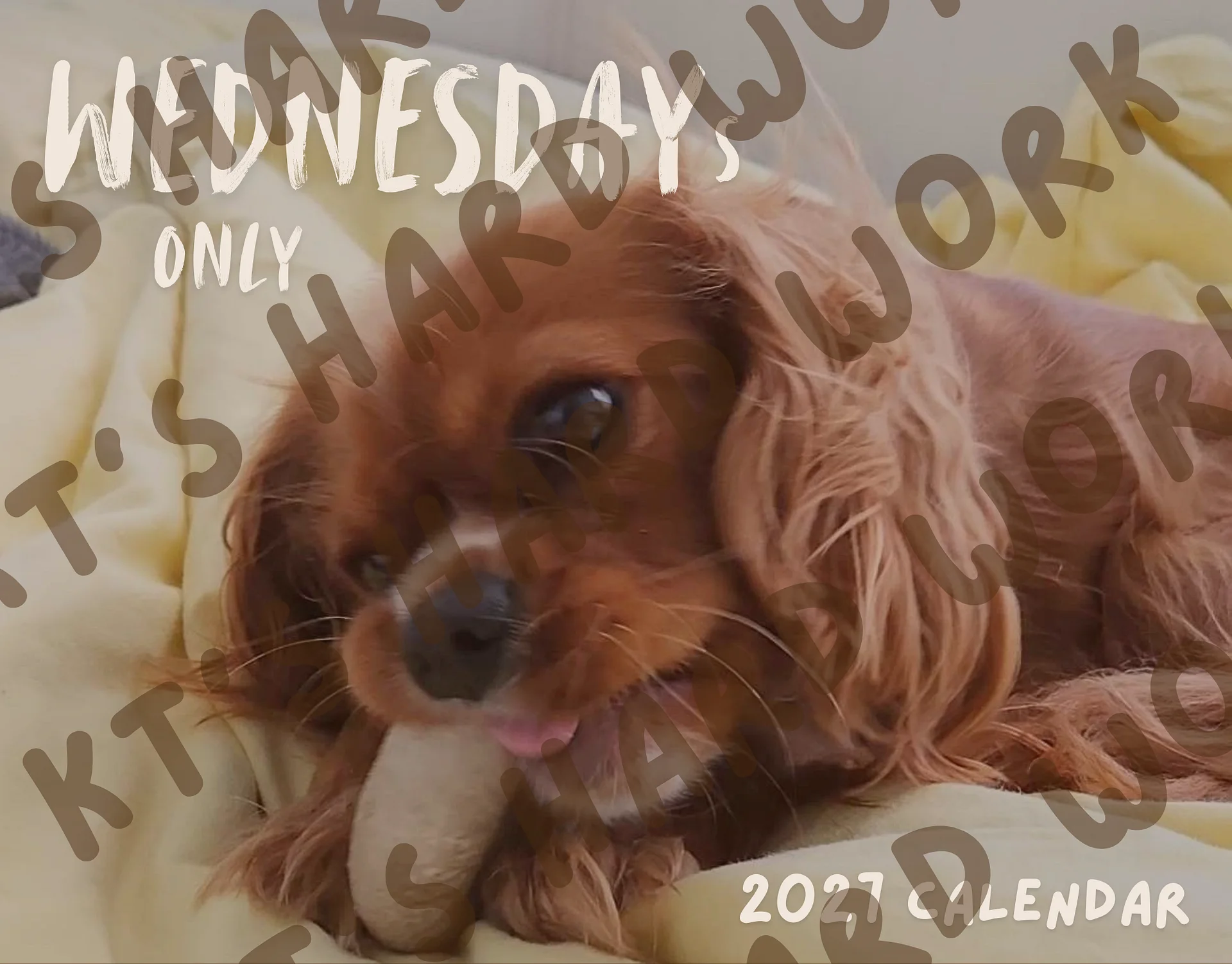 2027 Wednesdays ONLY Calendar (Download) product image (1)