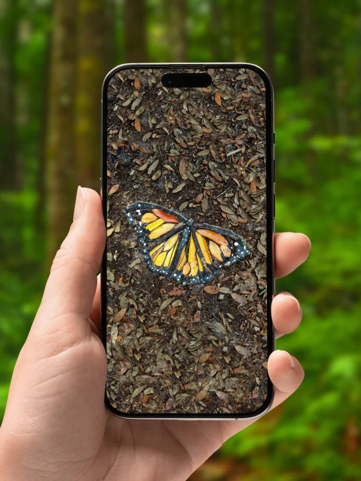 MONARCH BUTTERFLY | Phone Wallpaper product image (1)