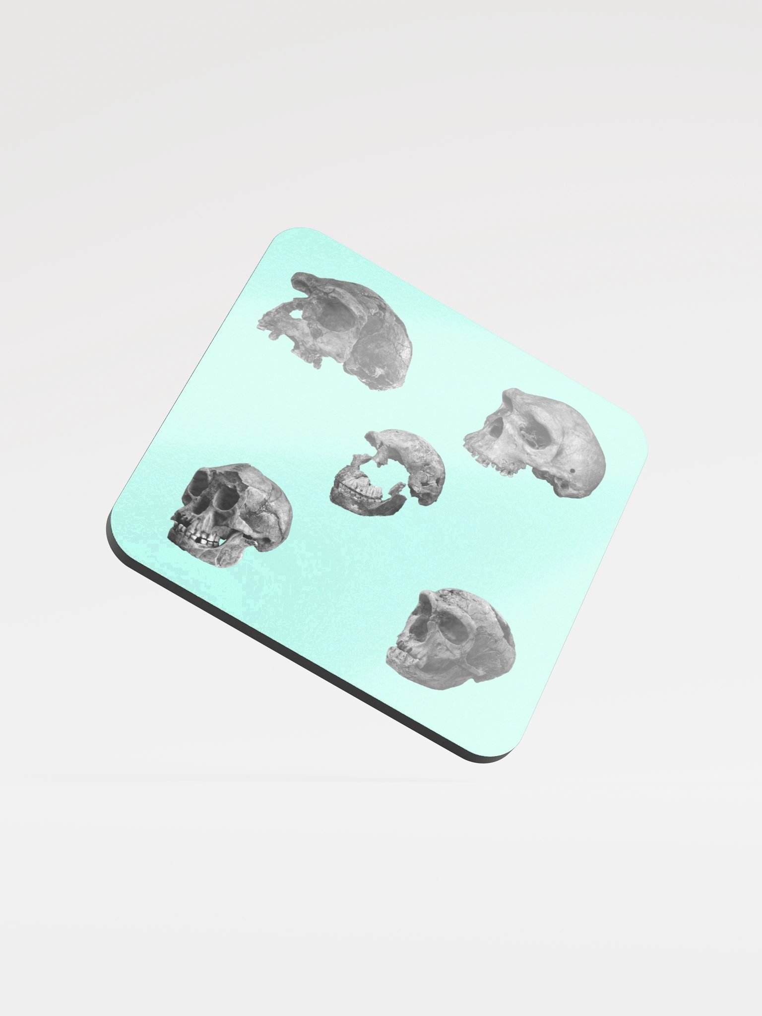 Skulls Coaster product image (1)