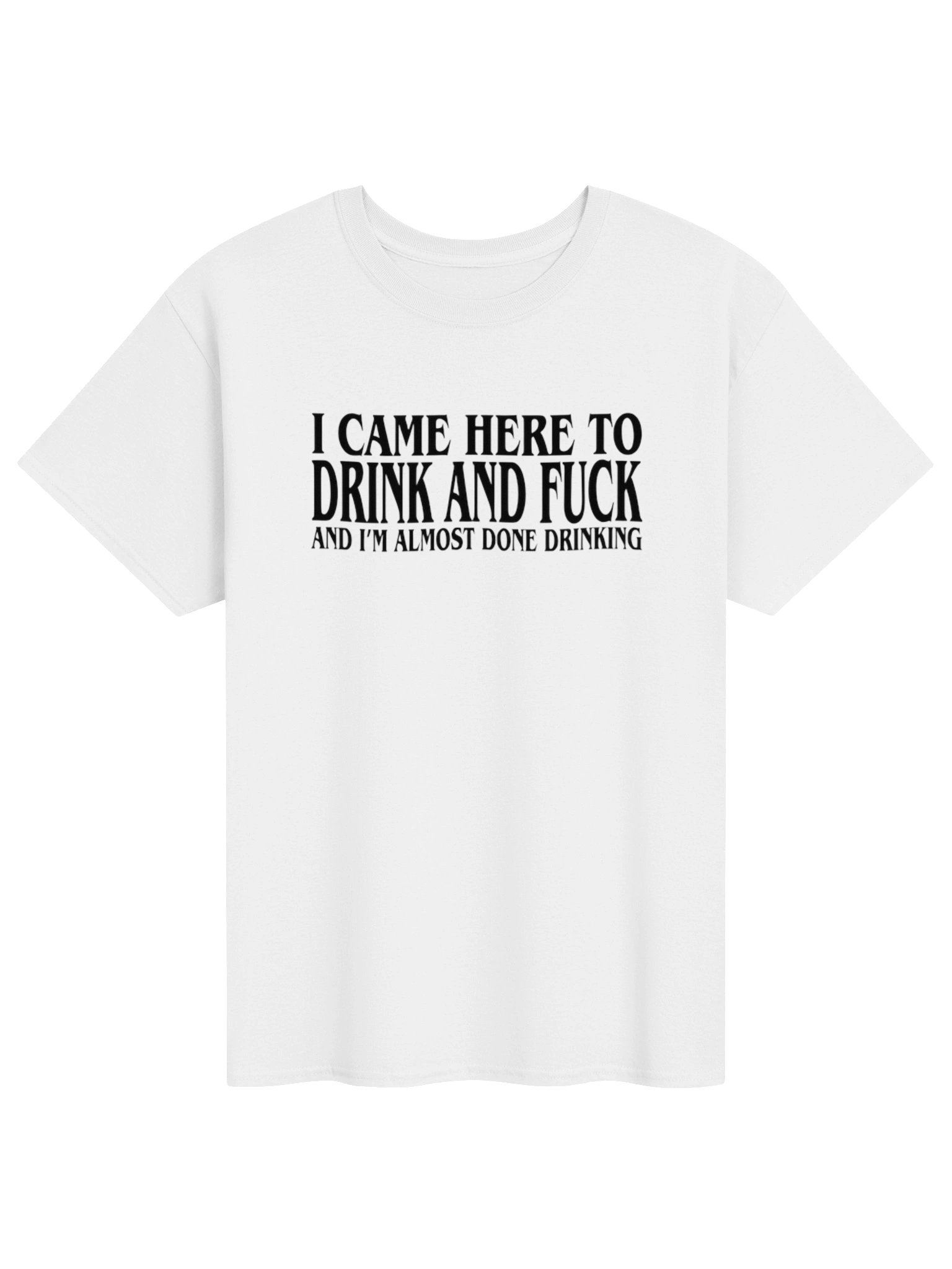 Came Here To Drink And Fk Shirt – Funny Drinking Humor Graphic Tee** product image (101)