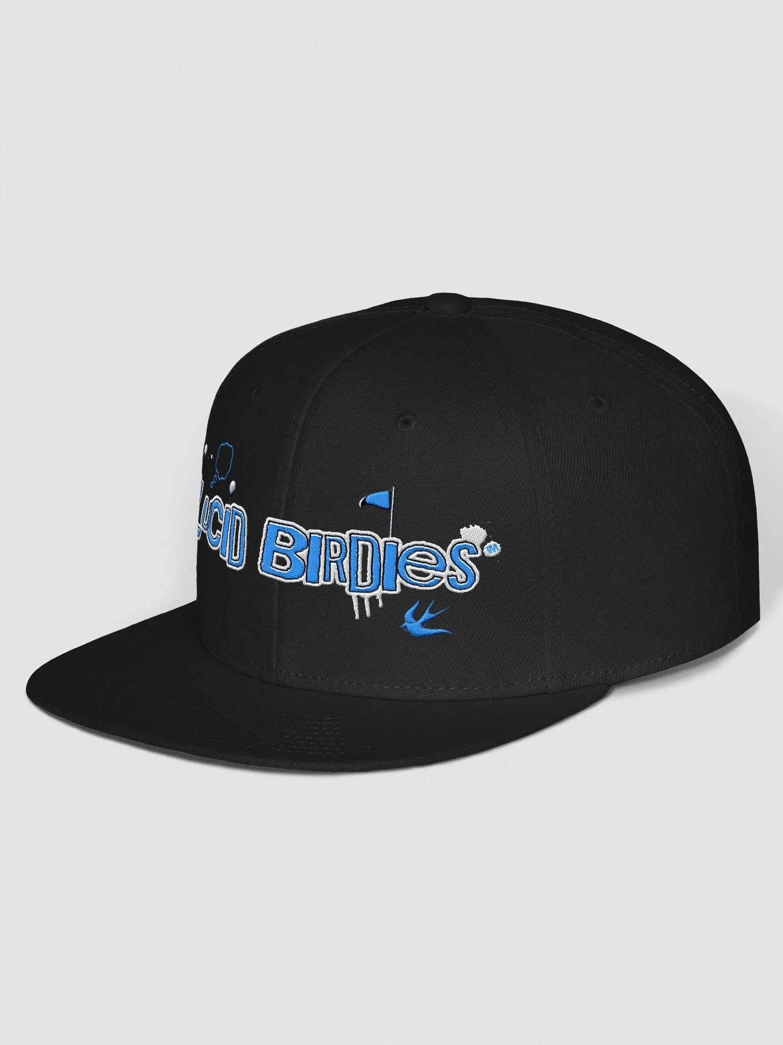 Lucid Birdies blue streetwear logo snapback hat product image (2)