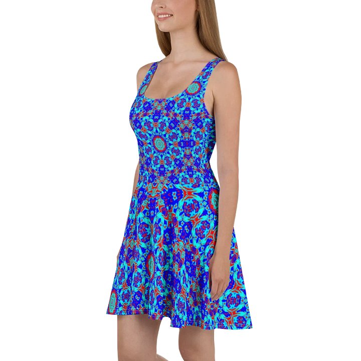 Floral Tapestry Skater Dress, product image (1)