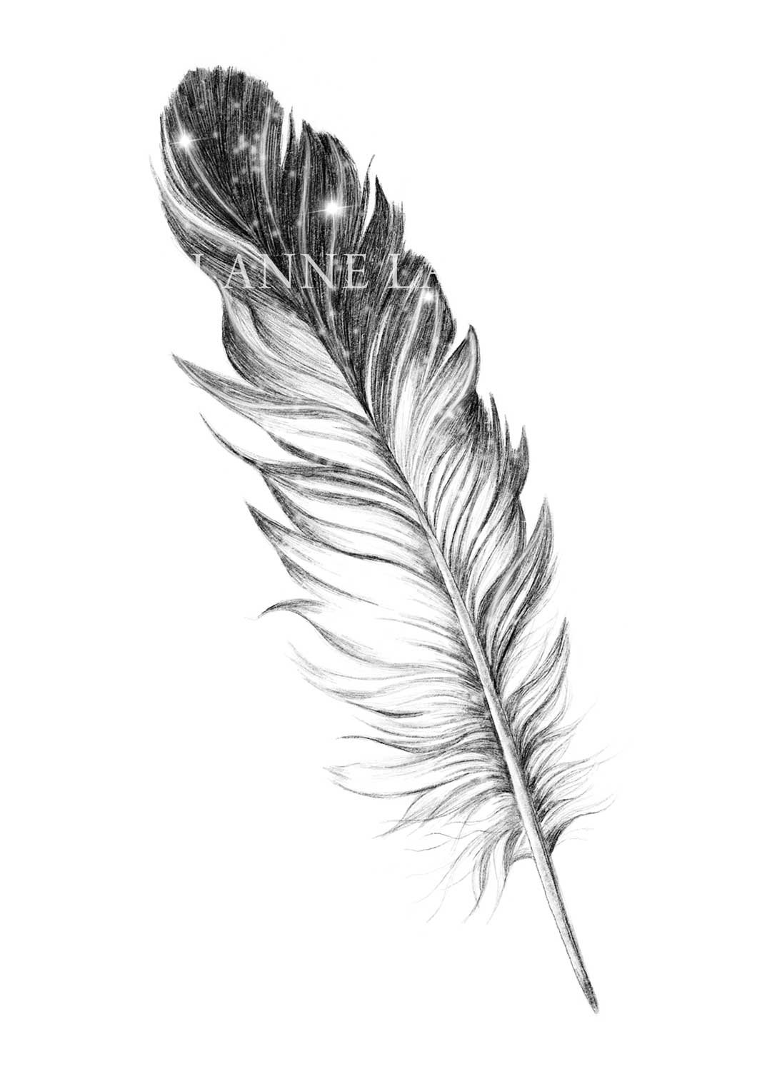 Feather | The Heart of Shadow Art Print product image (1)