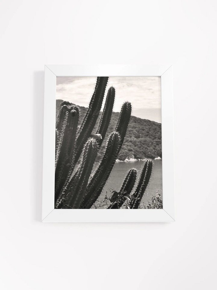 Mexico Lindo - Framed High-Quality Matte Poster product image (1)
