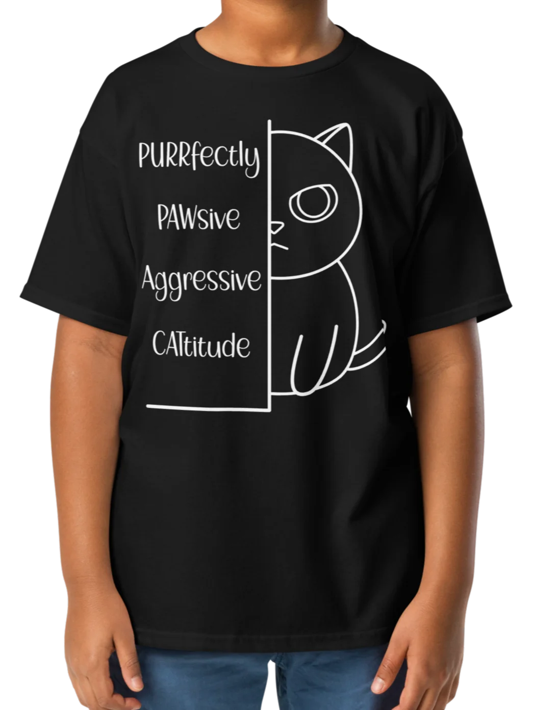 Passive Aggressive Cattitude - Unisex Youth Heavyweight T-shirt product image (6)