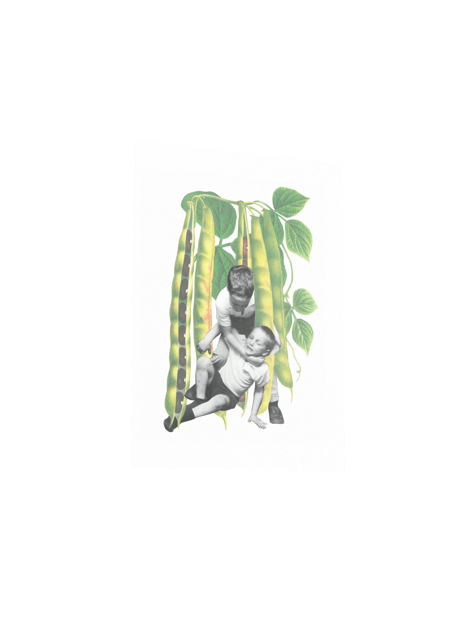 A Couple of Beans product image (12)