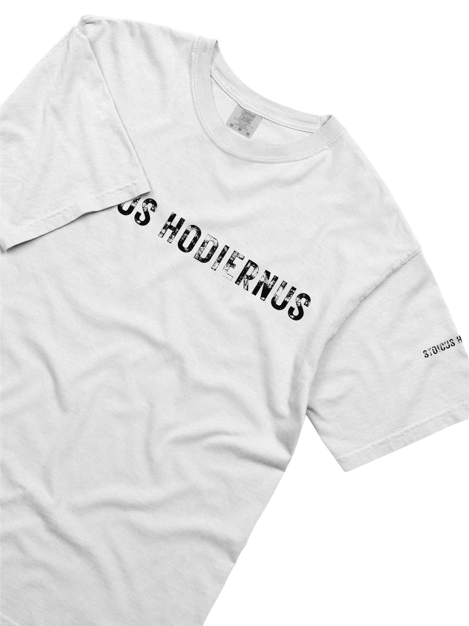 “Stoicus Hodiernus” – Modern Icarus Tee product image (3)