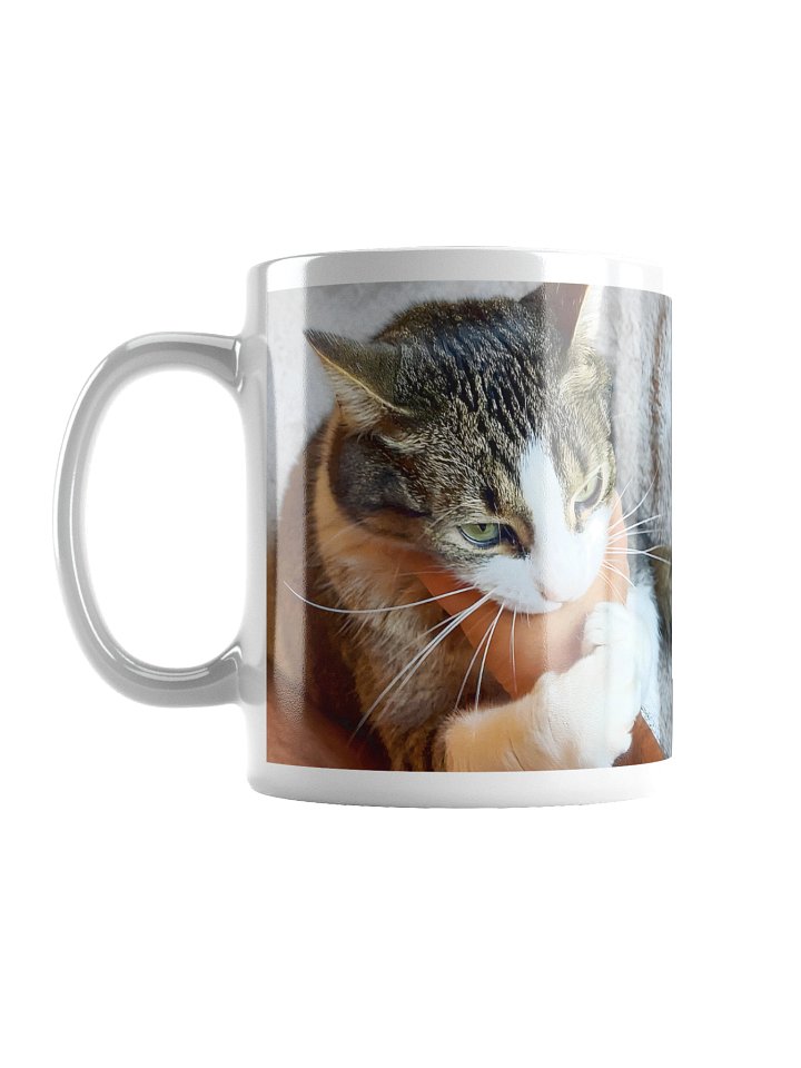 "Gully 89'" Mug product image (1)