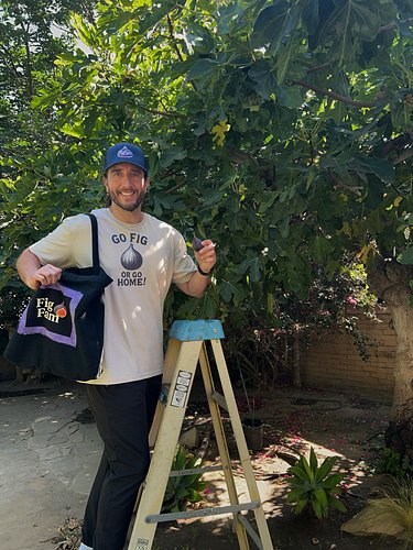 My fig picking bag was generously made for me by my friends at @classic_cotton_co. It’s lightweight, durable, and has room fo...